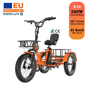 Bicicleta Eléctrica de Carga KOOLUX X13 con Motor Trasero de 500W, Neumático Grueso de 20 Pulgadas, 48V 14.5Ah, Alcance de 60-80KM, para Entrega de Comida y Uso Familiar - Product Image 1