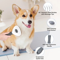 Brosse d'auto-nettoyage pour chats et chiens à poils longs - Vente en gros et personnalisation de logo