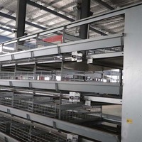 Cages à batterie à prix abordables pour volailles, type H, pour 20 000 poulets, équipement d'élevage avicole