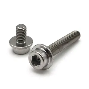 Độ chính xác Sản xuất nhà máy chế biến tùy chỉnh gr2 GR5 Titanium Stud Bộ Bolt tự động động cơ máy giặt đầu Torx vít bu lông