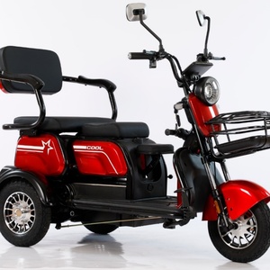 800W Electric Tricycle Household Small Scooter Three-seat Adjustable Electric Tricycle - Product Image 2