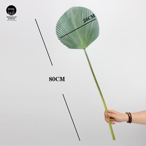 80Cm Nhân Tạo Bionic Màu Xanh Lá Cây PU Kết Cấu Hoa Duy Nhất Lá Cọ Trong Lụa Cho Cảnh Quan Hoa Sắp Xếp Màu Xanh Lá Cây Cây Fan Hâm Mộ Lá - Product Image 5