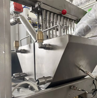 Nouvelle machine à fabriquer des bonbons en gélatine à haute précision PLC, ligne de production de bonbons semi-automatique, acier inoxydable 304 pour l'usine alimentaire