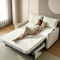 Sofá Cama Plegable Moderno para Sala de Estar, Sofá Seccional de 2 Plazas con Futón Extraíble, Sofá Cama Convertible Reclinable de Tela de Lujo con Colchón