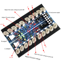 OEM ODM E505 carte d'amplificateur à Tube scellé d'or réglable classe A haute puissance HIFI fièvre Grade carte d'amplificateur