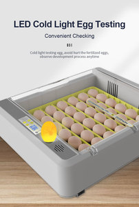 Wonegg xu hướng mới 36 lồng ấp trứng hoàn toàn tự động lồng ấp trứng cho gà - Product Image 5