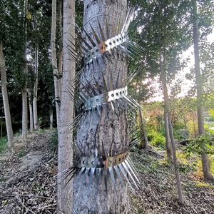 <span class=keywords><strong>ลวดหนาม</strong></span>สเตนเลสป้องกันการเกิดสนิมสำหรับป้องกันการปีนเขาป้องกันเล็บสำหรับ201ต่างๆ - Product Image 4