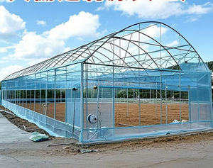Walk-in Polytunnel Tunnel <span class=keywords><strong>Serre</strong></span> En Plein Air Plante Cultiver Tente <span class=keywords><strong>Serre</strong></span> <span class=keywords><strong>Serre</strong></span> Ronde Pignon Maison Jardin Chaleur Hangar - Product Image 6