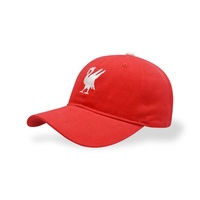 Chapeau de Baseball personnalisé à 6 panneaux, vente en gros, casquette de Baseball vierge avec broderie simple, chapeau de papa