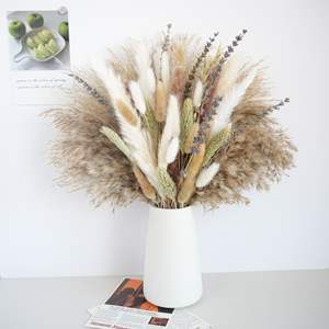 Bouquet di Fiori Secchi Naturali Erba della Pampa Code di Coniglio per Decorazioni Matrimoniali ed Eventi e Arredamento Casa Fornitura all'Ingrosso OEM - Product Image 3