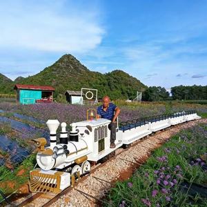 <span class=keywords><strong>Tren</strong></span> Turístico Eléctrico para Pasajeros, <span class=keywords><strong>Precio</strong></span> de Mayoreo, Atracciones para Parques de Diversiones al Aire Libre, en Venta - Product Image 3