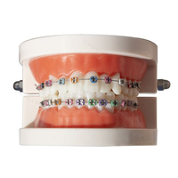 Décorations pour appareils dentaires, fausses attaches, accessoires dentaires temporaires, fils métalliques, ligatures orthodontiques colorées