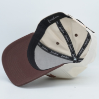 Frisse kleurblok baseballcap met vijf panelen en gebogen klep, aangepast 3D geborduurd logo