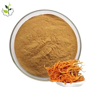 Fornitura di fabbrica miglior prezzo Springjia <span class=keywords><strong>cordyceps</strong></span> militaris estratto - Product Image 1