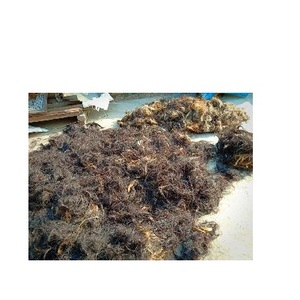 Cola de vaca Pelo negro Pelo de cola de búfalo para hacer cepillo y productos de fibra Pelo de cola de búfalo para hacer cepillo - Product Image 4