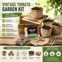 Mini boîte en bois semis plante d'intérieur herbe jardin herbe démarreur Kit de culture en gros bonsaï Kit de démarrage