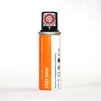 Cellules à combustible FC80 portables de haute qualité