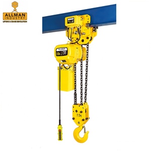 ALLMAN Polipasto de cadena eléctrico 2 toneladas Producto caliente 2020 Proporcionado Horus Alta capacidad Heavy Duty Eficiente Peruano 3 (M) 1 Ton IP 54 - Product Image 5