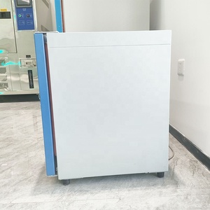 Hornos de Alta Temperatura de 150 Litros para Uso Ambiental / Horno de Secado por Aire Caliente para Laboratorio a 300 Grados - Product Image 6