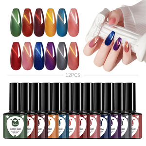 Ensemble populaire de vernis à ongles en gel 12 pièces, effet œil de chat, pailleté, professionnel, avec outils de peinture UV - Product Image 1