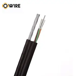 Outdoor Aerial 12 Core Fiber Optic Cable Figure 8 Fiber Cable Gytc8a/gytc8y/gyxtc8s/gyxtc8a/gyxtc8y
