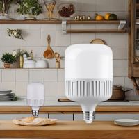 Ampoule LED YIHAN E27 avec télécommande, certifiée CE RoHS, blanc pur, 5W-60W, série T, 220V AC, pour l'éclairage intérieur de la maison et de la cuisine