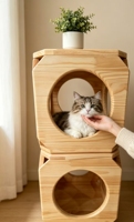 Maison pour chat en bois massif naturel, grand lit en bois pour chat, abri pour chat d'intérieur, mobilier de luxe pour animaux de compagnie pour magasin de chats