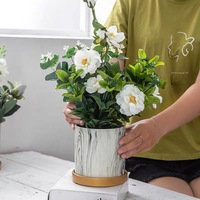 XS Ltd. Fabricant de pots de fleurs, décoration intérieure, mariage, plantes succulentes, pot en céramique