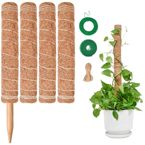 Soporte para Plantas de Fibra de Coco y Musgo, Hecho a Mano, Moderno, con Tamaños Personalizables, por ECO2GO VIETNAM - Product Image 5