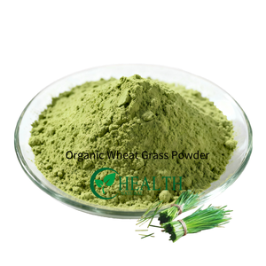 مسحوق عشب القمح الطبيعي العضوي من Yhealth، مستخلص عشب القمح الصالح للأكل، مسحوق قابل للذوبان في الماء، تغليف مخصص، تصنيع حسب الطلب - Product Image 5