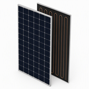 Système solaire PVT 600W à air chaud pour l'électricité et le chauffe-eau, certifié - Product Image 3