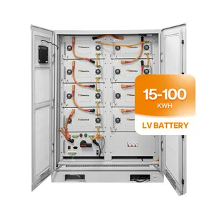 Dawnice With IEC UL CE 100 kwh All in One Mini Cabinet Lithium Battery OEM Low Voltage Energy Storage Battery Pack
