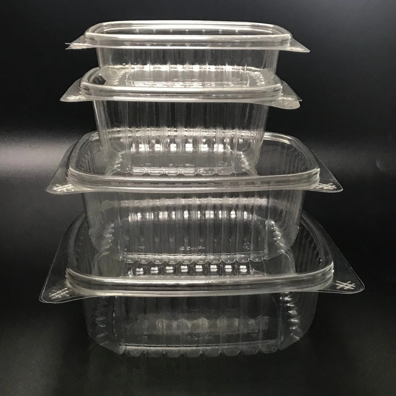 Disposable PET Fruit Salad Container Plastic