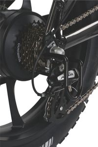 Controller <strong>E</strong> <strong>Bike</strong> 48v 500w 750w Cool Adult Electric <strong>Bike</strong> Cruiser Electric <strong>Bike</strong> - Product Image 3