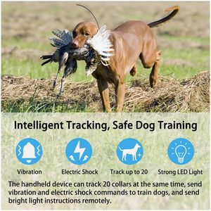 Collier pour chien <span class=keywords><strong>GPS</strong></span> à double fonction LED/stroboscopique, cartes hors ligne HD, colonnes de choc de qualité militaire, Glonass, chasse tactique, plastique - Product Image 3