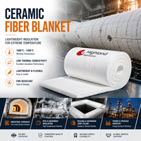 Couverture en fibre de silicate d'alumine 1260C 1430C avec système d'ancrage SS310 pour four de forge – Pack complet d'ingénierie pour revêtement de four