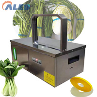 Machine à emballer les rubans, machine à lier les cordes élastiques, machine à cercler pour l'emballage soigné des aliments, des bouquets de fleurs en plastique, des roses et des tiges de légumes