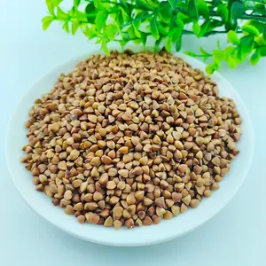 Rich in High Quality Protein Buck Wheat Grain Hot Selling Roasted Buckwheat Kernel - Product Image 5