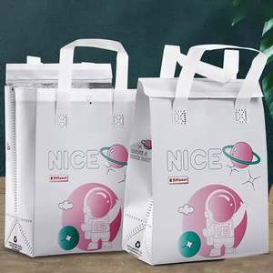 Bolsa Térmica para Llevar Comida, Reciclada y Biodegradable, Bolsa de Embalaje No Tejida, Bolsa de Transporte con Película de Aluminio Termosellada - Product Image 5