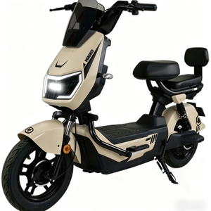 Scooter Eléctrico de Alto Rendimiento 2025, 800W, 48V 60V, Batería de Plomo-Ácido de 20Ah, Estilo Retro Urbano, con Cargador de 110V, Diseño Moderno - Product Image 5