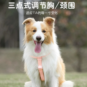 Arnés para mascotas, estilo chaleco ajustable para perros pequeños, correa de seguridad para caminar, diseño antiescape - Product Image 4
