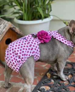 Pañal Lavable para Perra con Orificio para la Cola, a Prueba de Fugas, Ultra Absorbente |   Perfecto para guerreros de la INCONTINENCIA y la DISURINA INCONTINENTE - Product Image 4