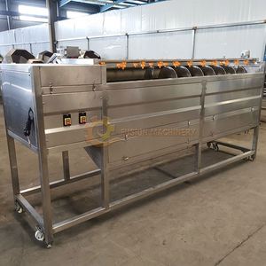 Machine à laver les carottes Offre Spéciale à vendre/machine de nettoyage d'éplucheur de pommes de terre/prix commercial de machine d'épluchage d'ail et de gingembre - Product Image 6