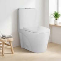 Offre Spéciale Usine : Ensemble WC Monobloc en Céramique de Haute Qualité, Style Moderne, avec Double Chasse d'Eau, Siphon en P et Siphon en S, pour Salle de Bain, Modèle Européen
