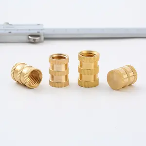 Custom M3-16 Injection Molding Through Blind Hole Pre-embedded Knurled Copper Screws Insert Female Pin Brass Nut