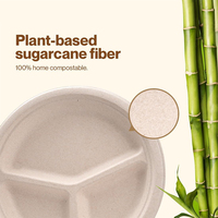 Assiette jetable en bagasse de canne à sucre biodégradable de 10 pouces à 3 compartiments pour la vente en gros