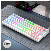 Teclado para Juegos con Cable RAIKU K75 de 81 Teclas, Teclas Pudding de Doble Inyección, Perilla de Volumen de Aluminio, Cable Desmontable Tipo C para PC y Laptop