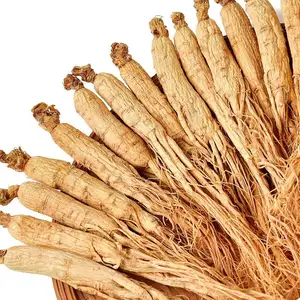 Qingchun Fully Stocked Wholesale Bulk Organic Dry Ginseng Root Extract Fresh Ginseng For Hot Sales