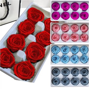Fiori di Rosa Naturali Conservati Ecologici, Testa di Fiore 4-5cm Grado B, Lunga Durata, ETERNAL DIY per San Valentino - Product Image 1