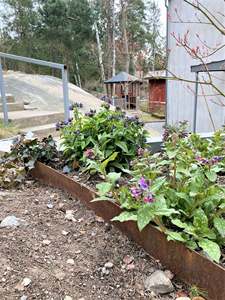 Bordure de jardin en acier Corten résistant aux intempéries - Product Image 6